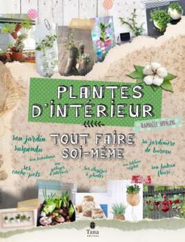 Plantes d intérieur tout faire soi même Truffaut d Isneauville